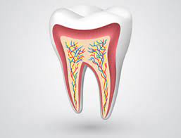 Kids Dentistry Treatment | dental avenue hospital